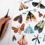 Garden Moth Art Print, thumbnail 4 of 5