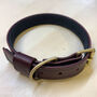 Make Your Own Leather Dog Collar And Lead Experience, thumbnail 3 of 4