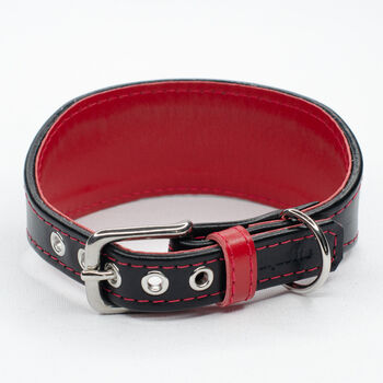 Colour Contrast Leather Whippet Collar, 3 of 11