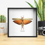 Giant Orange Grasshopper Handcrafted Frame, thumbnail 1 of 3