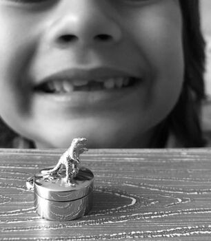 Tooth Fairy Box For Girls Or Dinosaur For Boys, 3 of 6