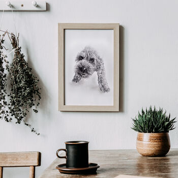 Personalised Hand Drawn Pet Portrait Cat / Dog Drawing, 8 of 12