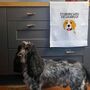 Personalised Dog Tea Towel, Many Breeds Available, thumbnail 2 of 11