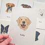 Personalised Pet Portrait, Pet Owner Gift, thumbnail 1 of 3