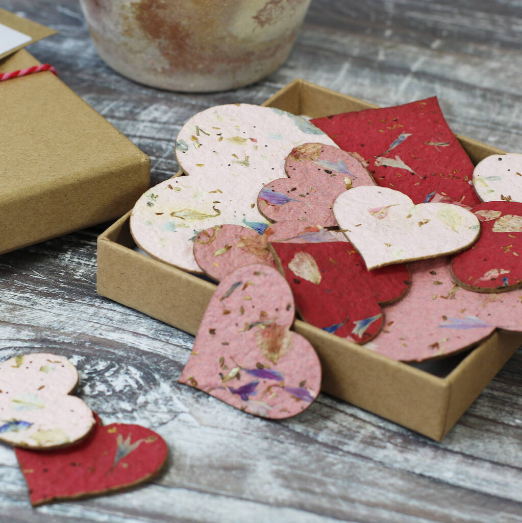 Seed Paper Hearts Letterbox Gift New Colourway, 1 of 9