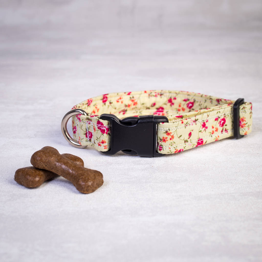 pink floral dog collar and lead for girl or boy dogs by charlie and boo