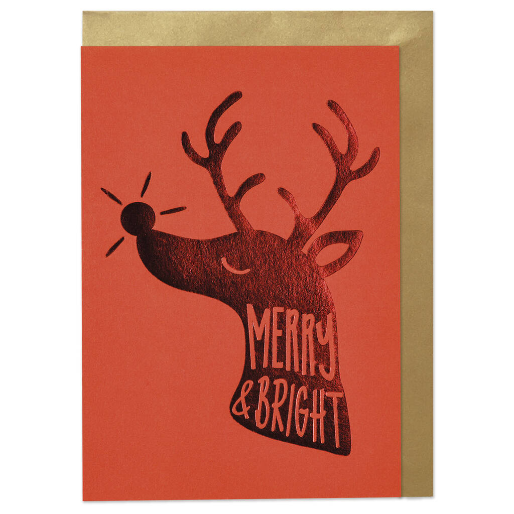 Pack Of Illustrated Foil Christmas Cards By Raspberry Blossom | notonthehighstreet.com