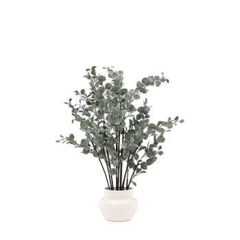 Faux Eucalyptus In Ceramic Pot Ivory, 6 of 6