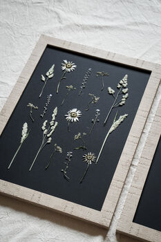 Daisy Haze Botanical Wall Art – A3 Pressed Flower Frame In Sand, 4 of 7