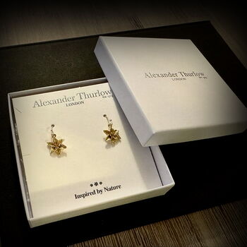 Lily Gold Drop Earring, 14k Gold Plated, 6 of 7