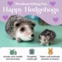 Happy Hedgehog Needle Felting Craft Kit, thumbnail 2 of 9