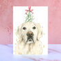Cream Golden Retriever Mistletoe Christmas Card, thumbnail 1 of 2