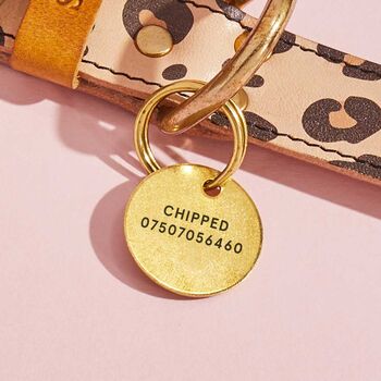 Personalised Brass Dog ID Tag, 2 of 3