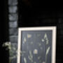 Daisy Haze Botanical Wall Art – A3 Pressed Flower Frame In Sand, thumbnail 7 of 7