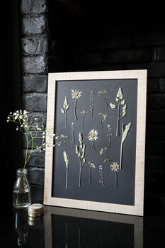 Daisy Haze Botanical Wall Art – A3 Pressed Flower Frame In Sand, 7 of 7