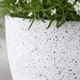 Pack Of Two Modern Planters Pots With Drainage Holes, thumbnail 5 of 12