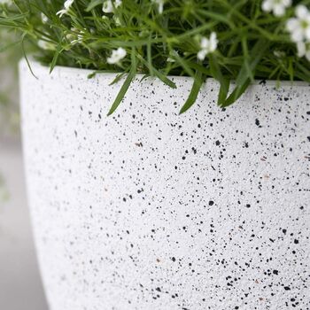 Pack Of Two Modern Planters Pots With Drainage Holes, 5 of 12