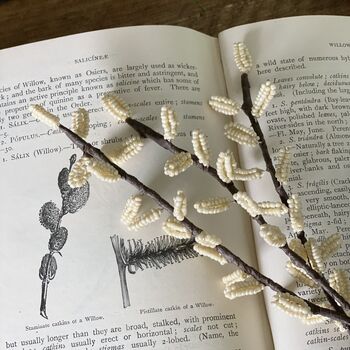 Pussy Willow Brances Bead Craft Kit, 2 of 4