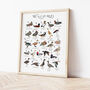 The A To Z Of Ducks Print, thumbnail 2 of 6
