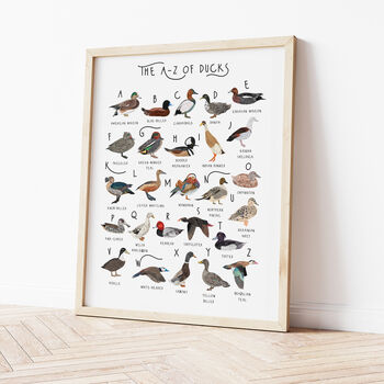 The A To Z Of Ducks Print, 2 of 6