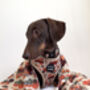 Pumpkin Patch Cart Dog Harness, thumbnail 4 of 11