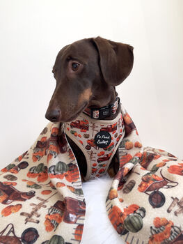 Pumpkin Patch Cart Dog Harness, 4 of 11