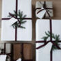 Plain Matt White Christmas Wrapping Paper Roll 10m Roll, thumbnail 2 of 12