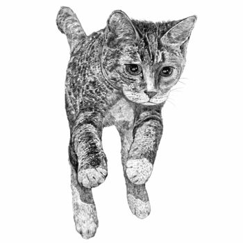 Jumping Cat Portrait, 3 of 3