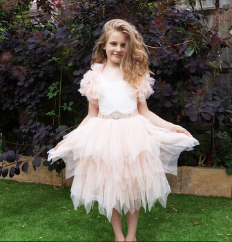 Aria ~ Party Or Flower Girl Dress In Blush, 12 of 12