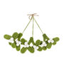 Mini Mistletoe Sprig Set Of Three Hanging Decorations, thumbnail 2 of 3