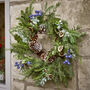 Giant Winter Citrus Berry Wreath, thumbnail 1 of 5