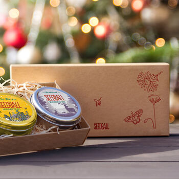 Seedball Wildflower Wonderland Christmas Set – Three Tins To Cover 3m² Or Nine Pots – A Bee Utiful Gift For Wildlife Lovers, 3 of 12