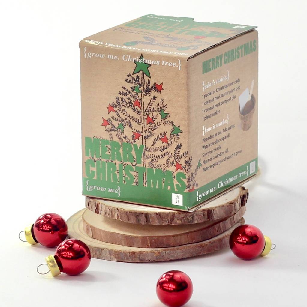 Grow Your Own Christmas Tree By Be Ecycle
