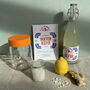 Home Madre Do It Yourself Fermenting Kit, thumbnail 1 of 3