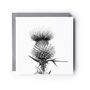 Scottish Thistle Greeting Card, thumbnail 2 of 6