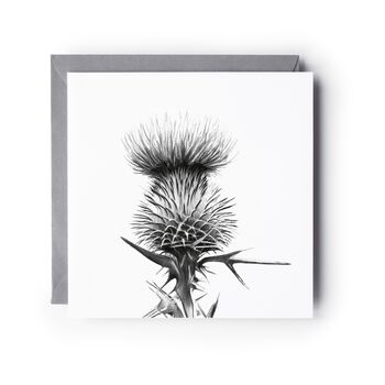 Scottish Thistle Greeting Card, 2 of 6