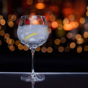 Swarovski® Crystal Set Dartington Gin Glass, 3 of 6