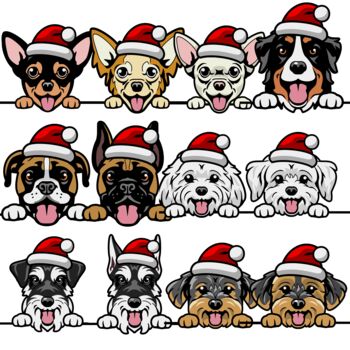 Personalised Dog Christmas Wrapping Paper, 6 of 8