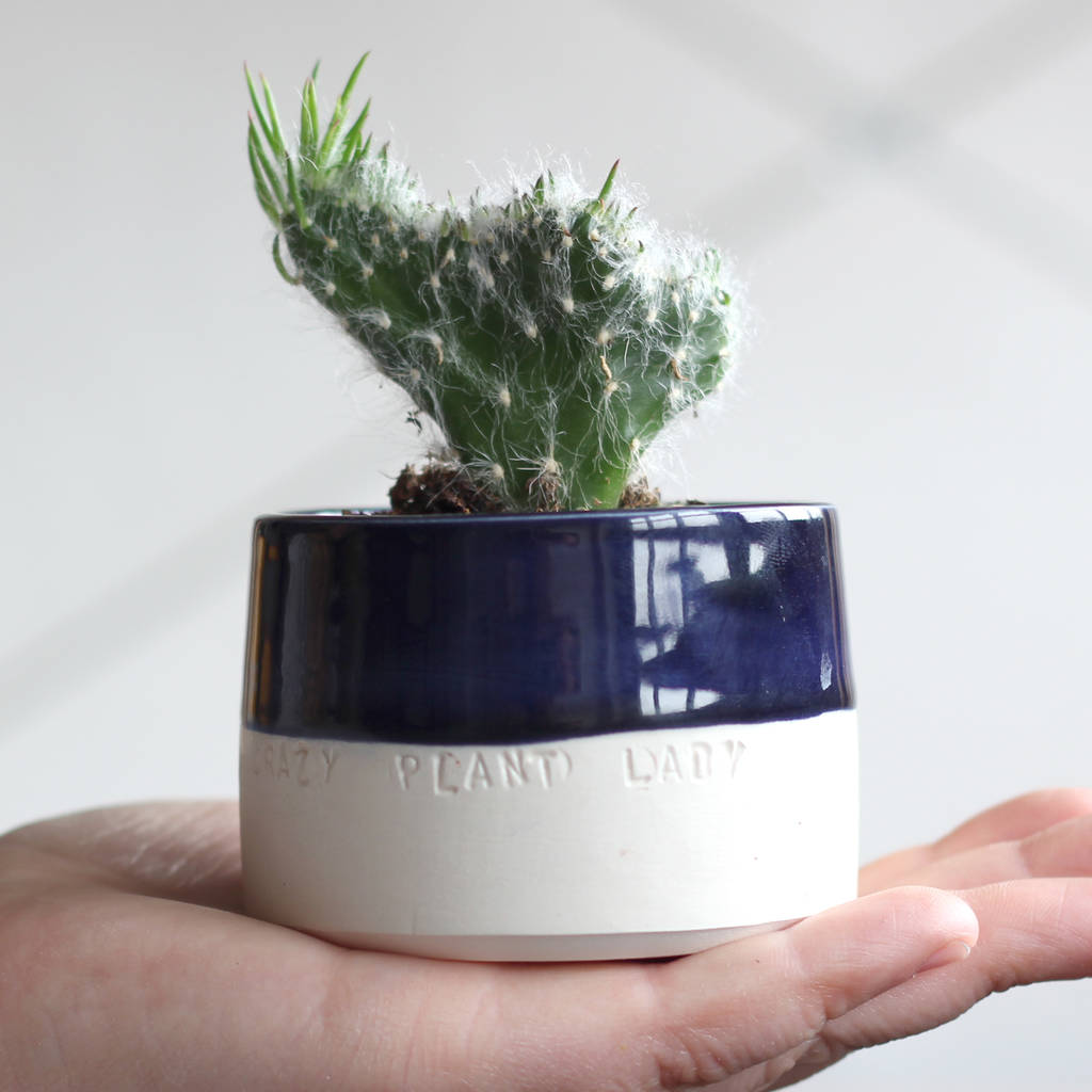 'Crazy Plant Lady' Ceramic Indoor Plant Pot, 1 of 7
