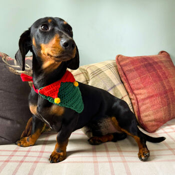 Crocheted Christmas Pet Bandana, 3 of 3