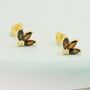 Sterling Silver Coffee Cz Marquise Cluster Stud Earrings, thumbnail 5 of 12