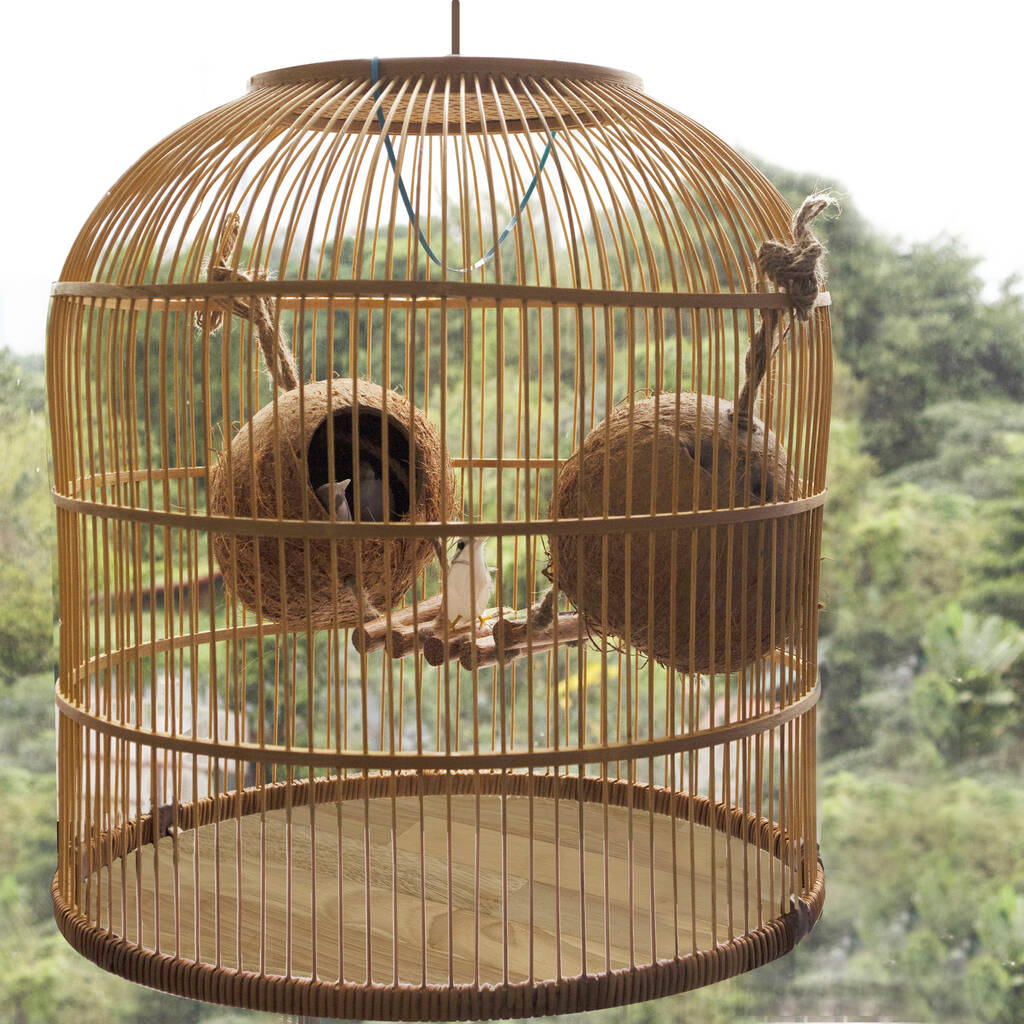 MOMU Parrot Nest Natural Coconut Shell House Cage Feeder Parakeet Birds Squirrel Hamster Toys Pet Breed Decoration Supplies Pendant 