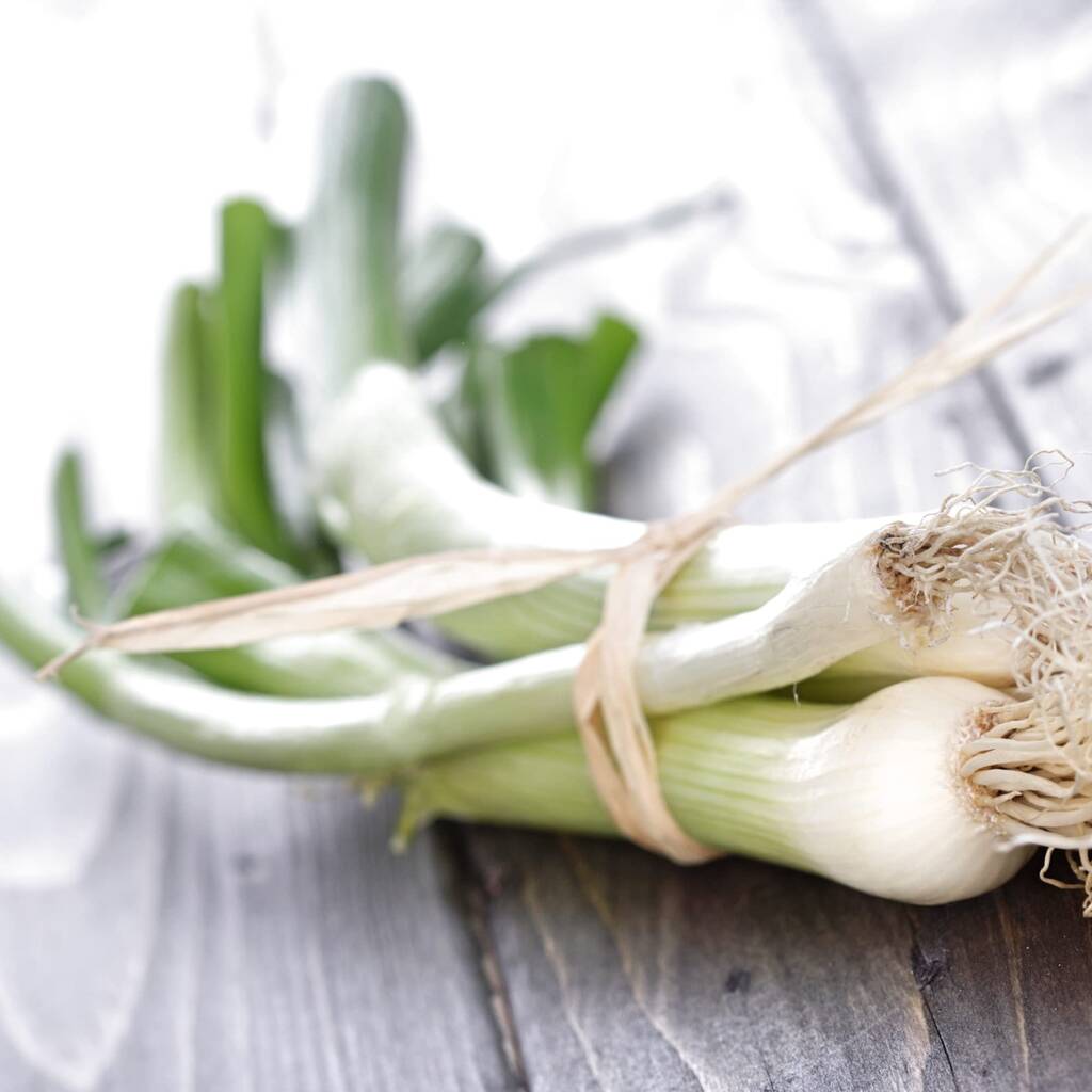 Fresh Whole Spring Onions 18 X Fresh Spring Onions By Acqua Garden