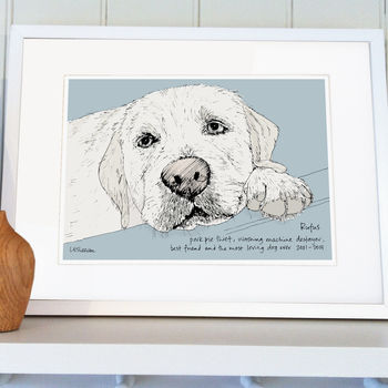 Personalised Pet Portrait Illustration, 10 of 12