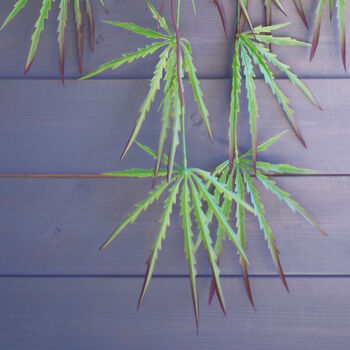 100cm Artificial Hanging Acer Spider Plant, 4 of 4