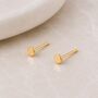 Tiny Gold Plated Sterling Silver Circle Disc Stud Earrings, thumbnail 1 of 3