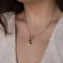 Astralis Rose Necklace Gold Filled And Zirconia Charms, thumbnail 5 of 6