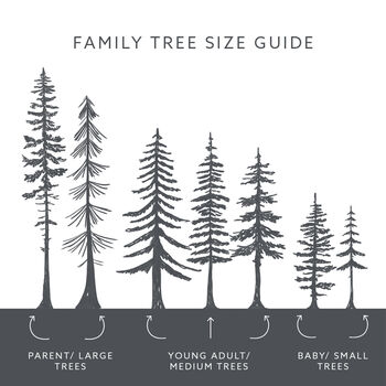 Personalised Family Tree Silhouette Print, 5 of 6