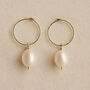Freshwater Pearl Hoop Earrings ‘Olivia’ – Gold Or Silver Minimalist Bridal Earrings, thumbnail 2 of 9