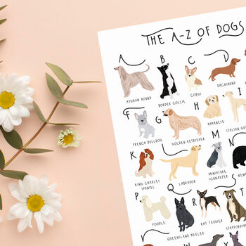 The A To Z Of Dogs Print, 5 of 6